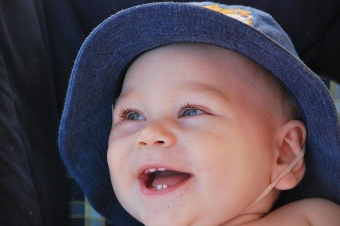 Teeth development – a timeline